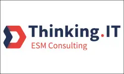 ThinkingIT ESM Consulting